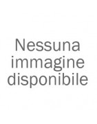 Antinfortunistica